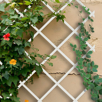 Extendable Plant Trellis Set, 180x90 cm, 3 Pack