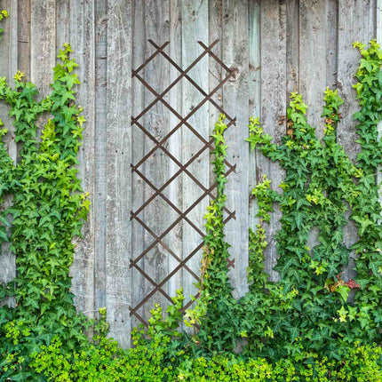 Extendable Plant Trellis Set, 3 Pack, 180x60 cm