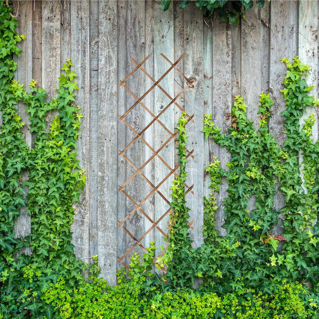 Ausziehbares Wand-Pflanzgitter 3er-Set, 180x60 cm