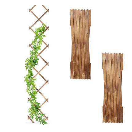 Extendable Wall Trellis Set of 3, Wooden Adjustable