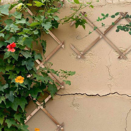 Extendable Wall Trellis Set of 3, Wooden Adjustable
