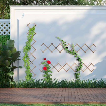 Extendable Wall Trellis Set of 3, Wooden Adjustable