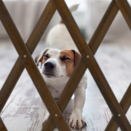 Grille de séparation extensible pour chien en marron