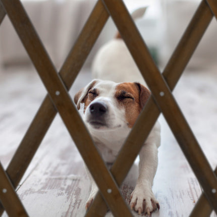 Ausziehbares Hundegitter in Braun