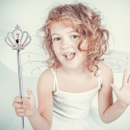 Fairy wings with wand