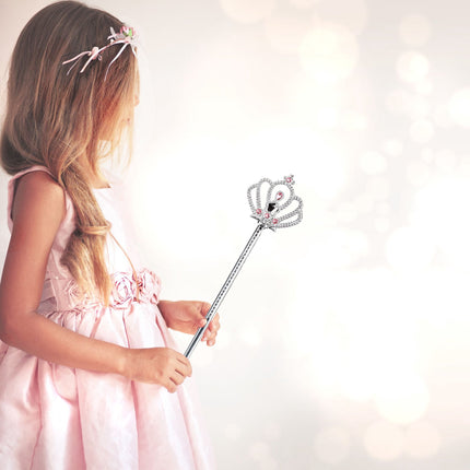 Fairy wings with wand