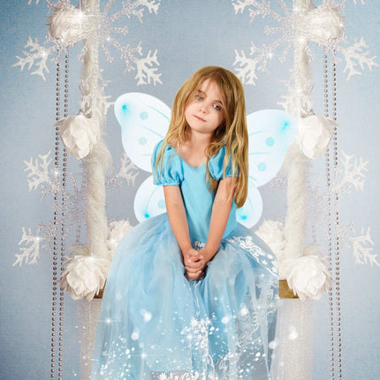 Fairy wings with wand