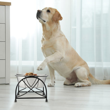 Feeding station for dogs