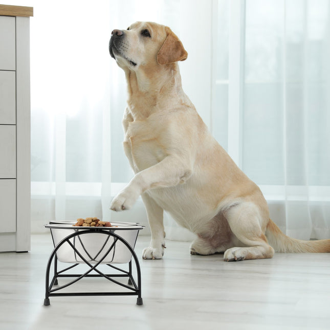 Feeding station for dogs