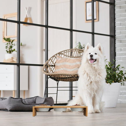Futterstation für Hunde