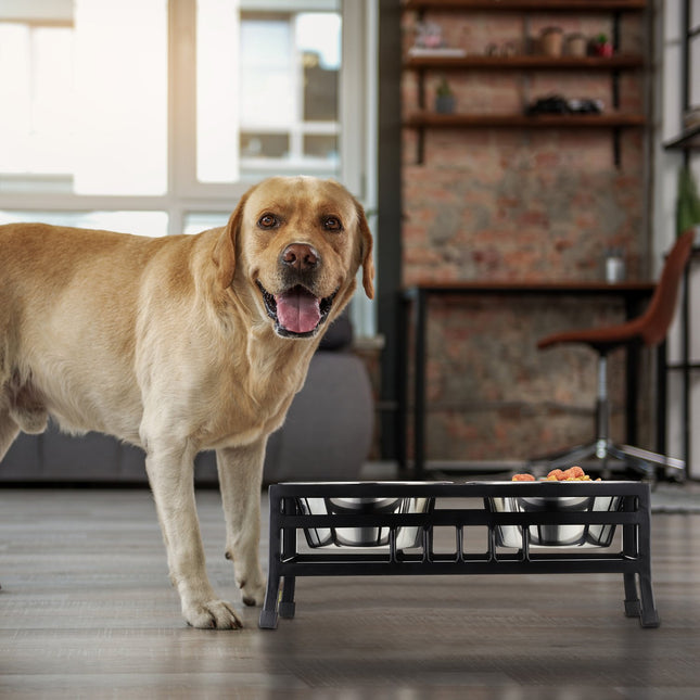 Futterstation für Hunde