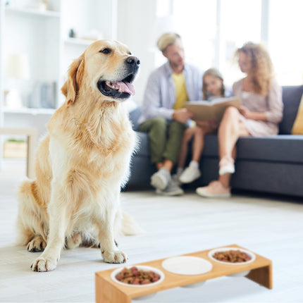 Futterstation für Hunde