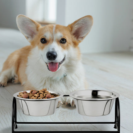 Feeding station for dogs