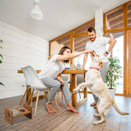 Futterstation für Hunde höhenverstellbar