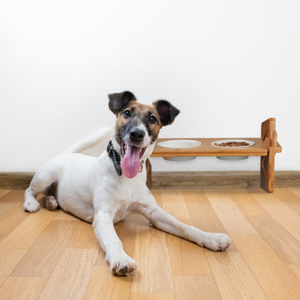 Futterstation für Hunde höhenverstellbar