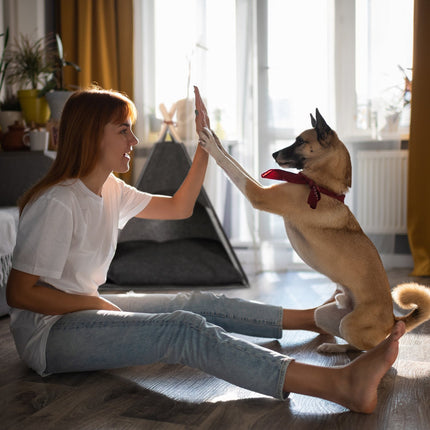 Hundebett aus Filz