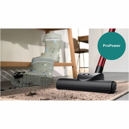 Bodenstaubsauger BGB41POW1 Pro Power Deutsch Zus.
