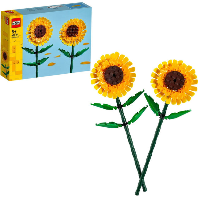 Blumen - Sonnenblumen 40524