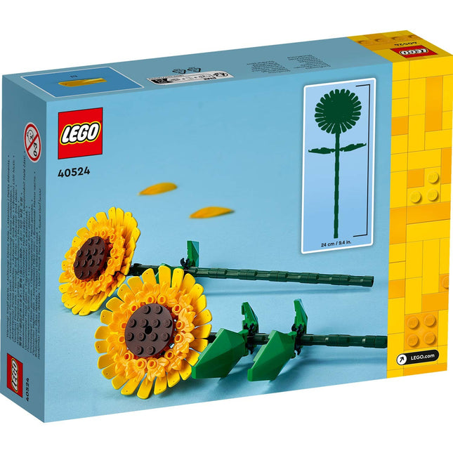 Blumen - Sonnenblumen 40524