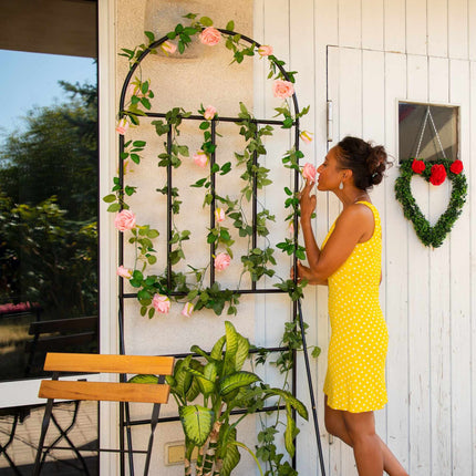 Flower shelf with trellis