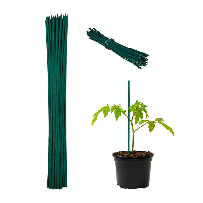 Blumenstäbe 30 cm im 50er Set
