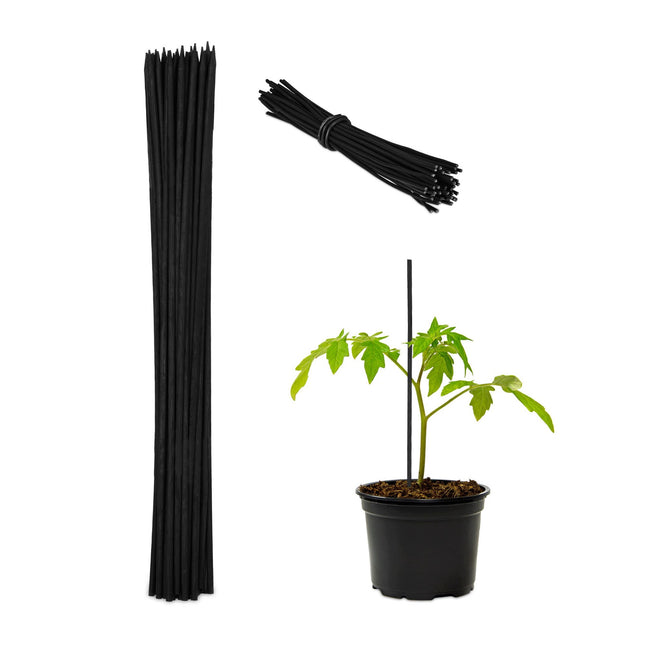 Blumenstäbe 30 cm im 50er Set