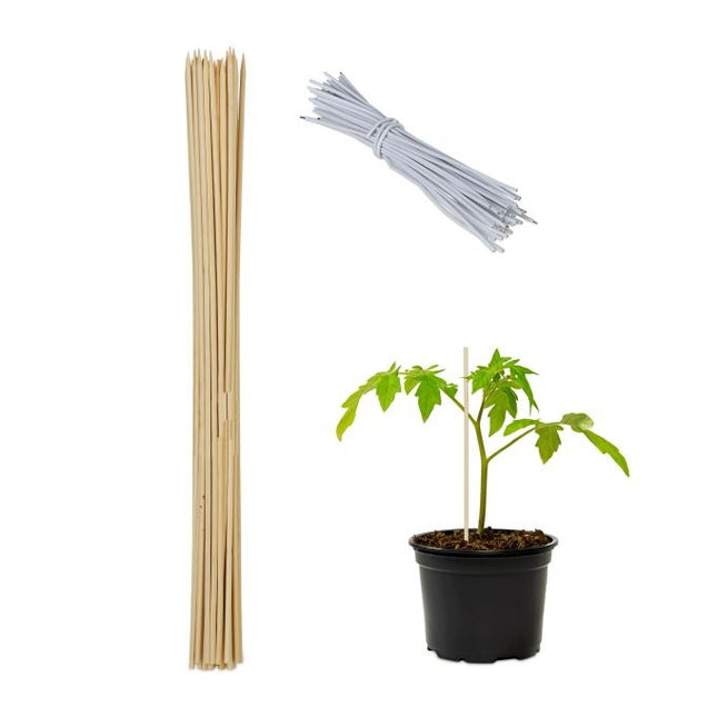 Blumenstäbe 60 cm im 50er Set