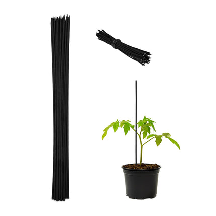 Blumenstäbe 60 cm im 50er Set