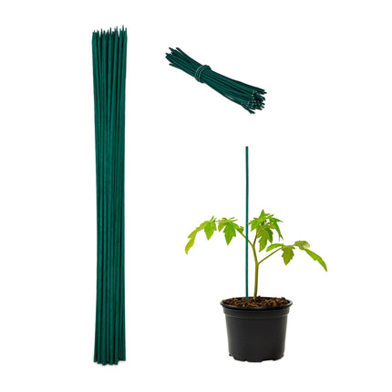 Tyčky k rostlinám 60 cm, balení 50 ks