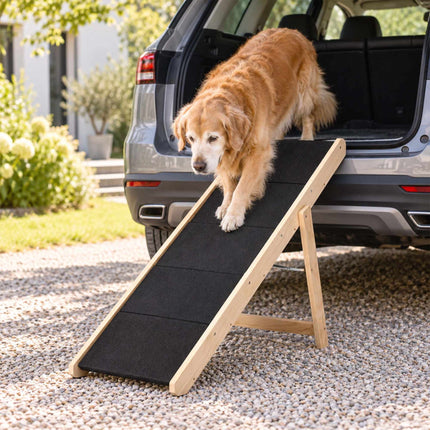 Foldable Dog Stairs and Ramp 2-in-1 with 5 Steps, Up to 50 kg, Pine Wood