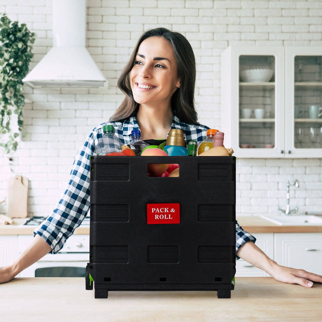 Zusammenklappbarer Einkaufswagen