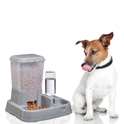Food and water dispenser