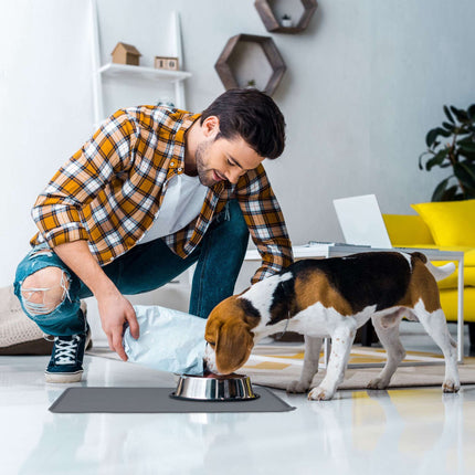 Food bowl coasters in silicone