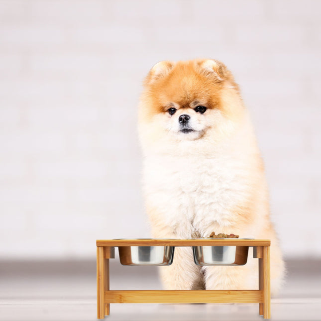 Futternäpfe für Hunde