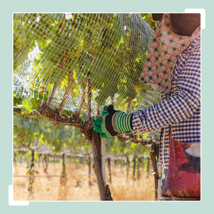 Galvanised Steel Aviary Mesh, 6.3mm, Weather-Resistant