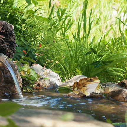 Gartenfigur Frosch Kunststein