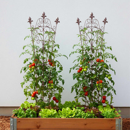 Gartenspalier, Vintage-Metall mit Fleur-de-Lis-Endstücken