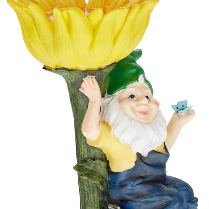 Nain de jardin avec bain d'oiseaux