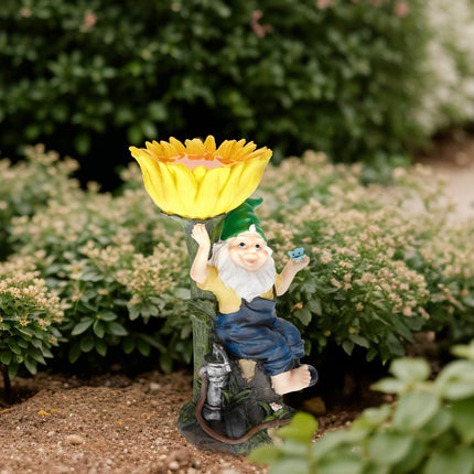 Nain de jardin avec bain d'oiseaux