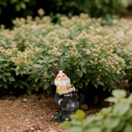 Nain de jardin avec lanterne