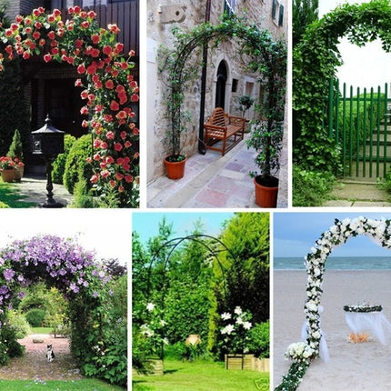Garden pergola