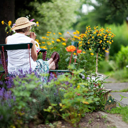 Garden plug "garden"