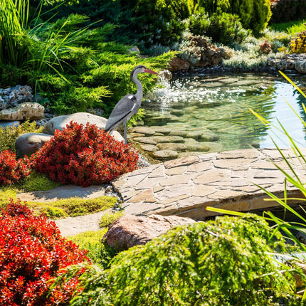 Garden statue heron