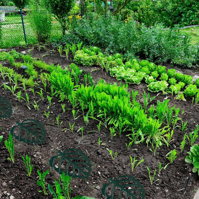 Gartenstufen aus Steinblatt