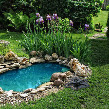 Jardin avec cadran solaire