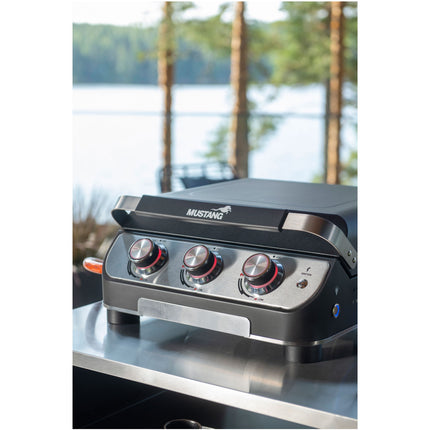 Gasgrill Platte 3