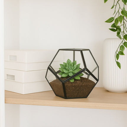 Geometric Glass Terrarium – Open Design for Indoor Plants