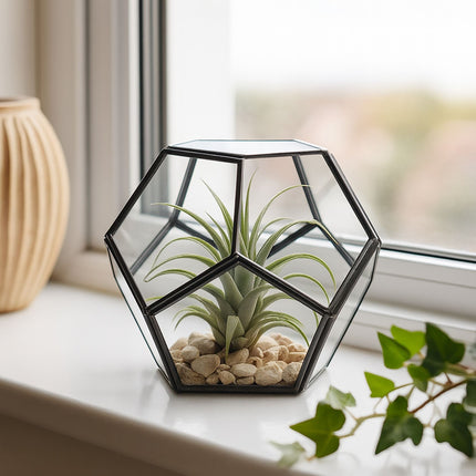 Geometric Glass Terrarium – Open Design for Indoor Plants