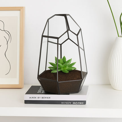 Geometric Glass Terrarium for Succulents, 25 cm