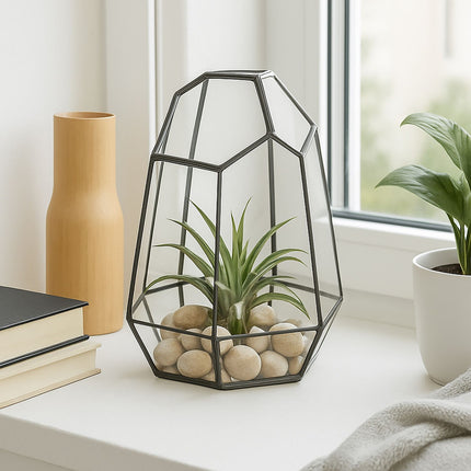 Geometric Glass Terrarium for Succulents, 25 cm